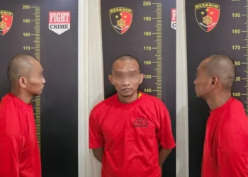 Pria di Kubu Raya Nekat Curi Motor D’Tracker, Ngaku untuk Beli Sabu