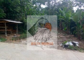 Melintas Muat Batubara Wajib Bayar Retribusi Rp 15.000 dan Diduga Oknum Karang Taruna Pamubulan