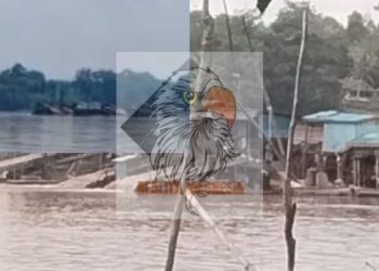 “Janji Pemberantasan Tambang Ilegal Sekadar Retorika? Tambang Emas Ilegal Marak Lagi di Sekadau”