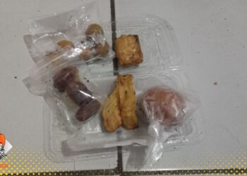 Menu MBG Diduga Tidak Layak, Wali Murid SDN Jakamulya 3 Bekasi Selatan Keluhkan Kualitas Makanan